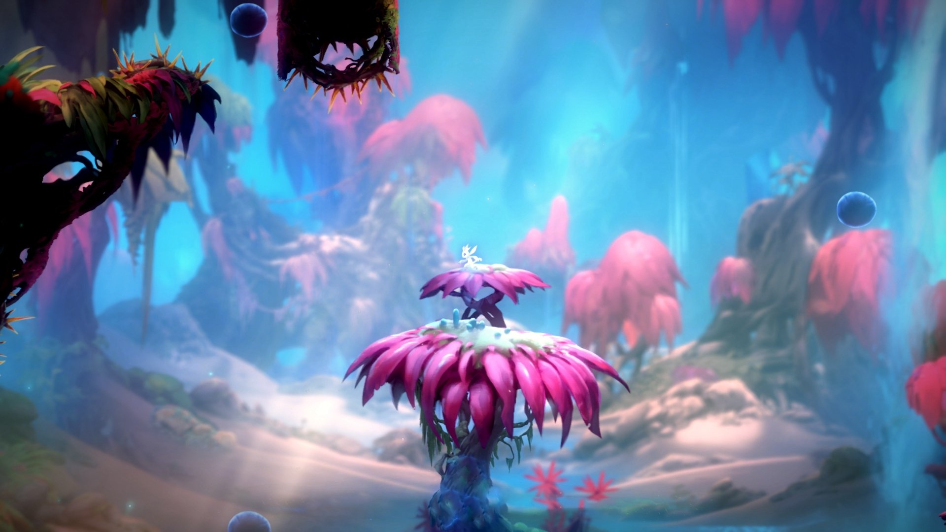 魔都的篮球狂想曲,当上海队掀翻奇才,哈利伯顿于绝境中奏响命运交响