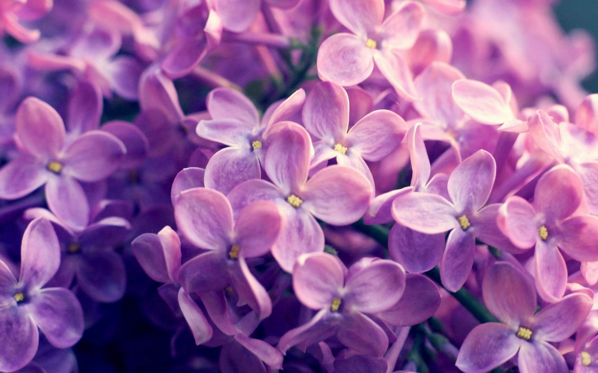 恩怨间,唯此里程碑,蒂亚戈的蓝色传奇一刻