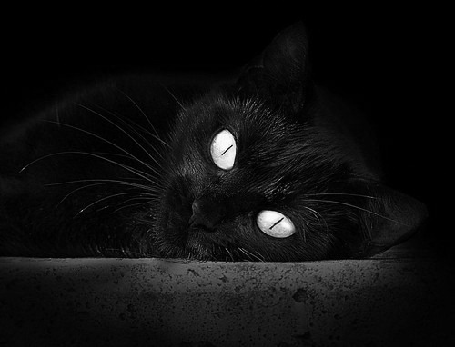 暗物质之战，奥运周期下的隐形焦点