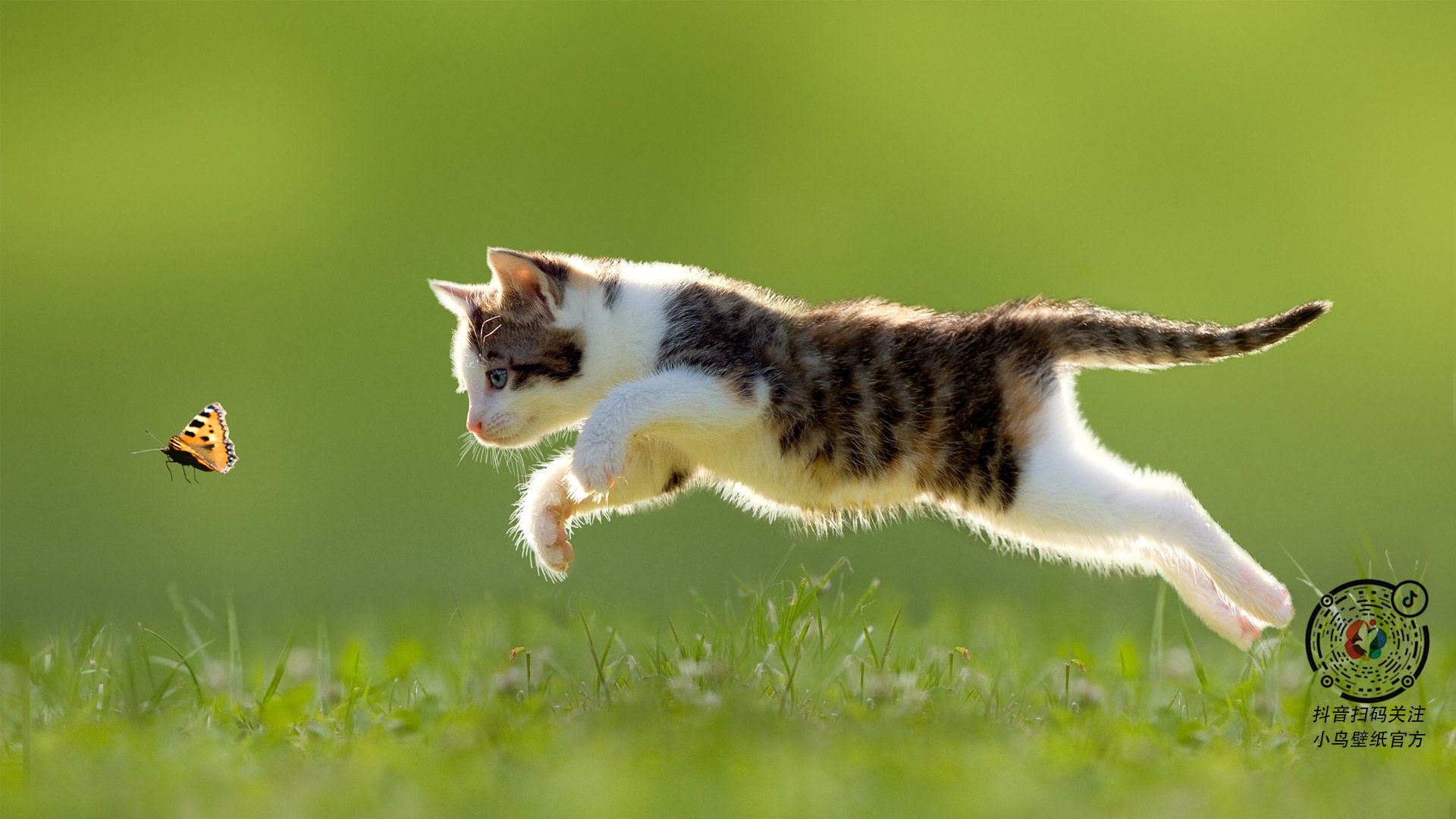 从芝加哥到墨西哥城，当2026世界杯战术板遇见绿军的钢铁洪流