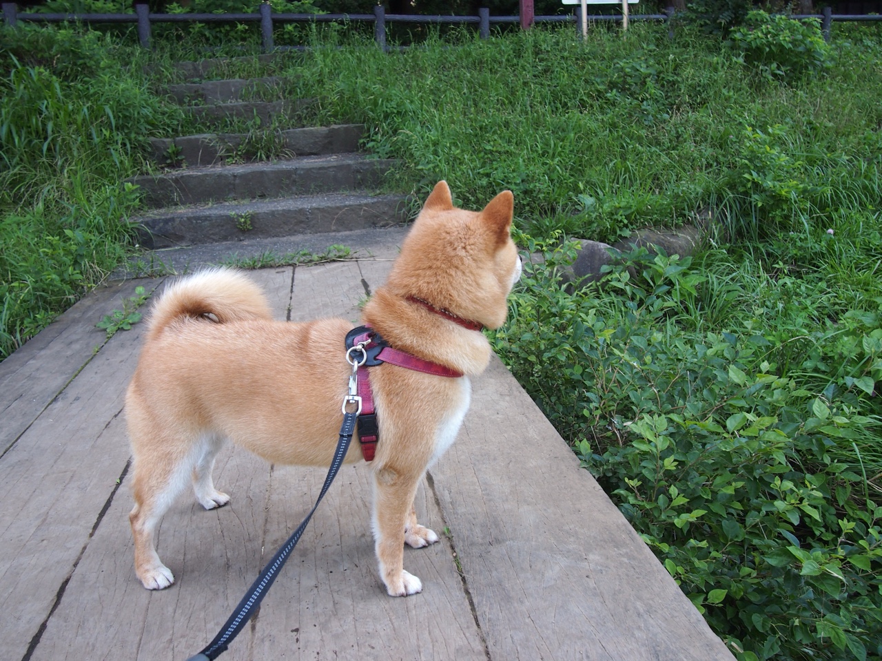 他用脚踢出三分雨，当萨拉赫踏入西决生死夜的疆场