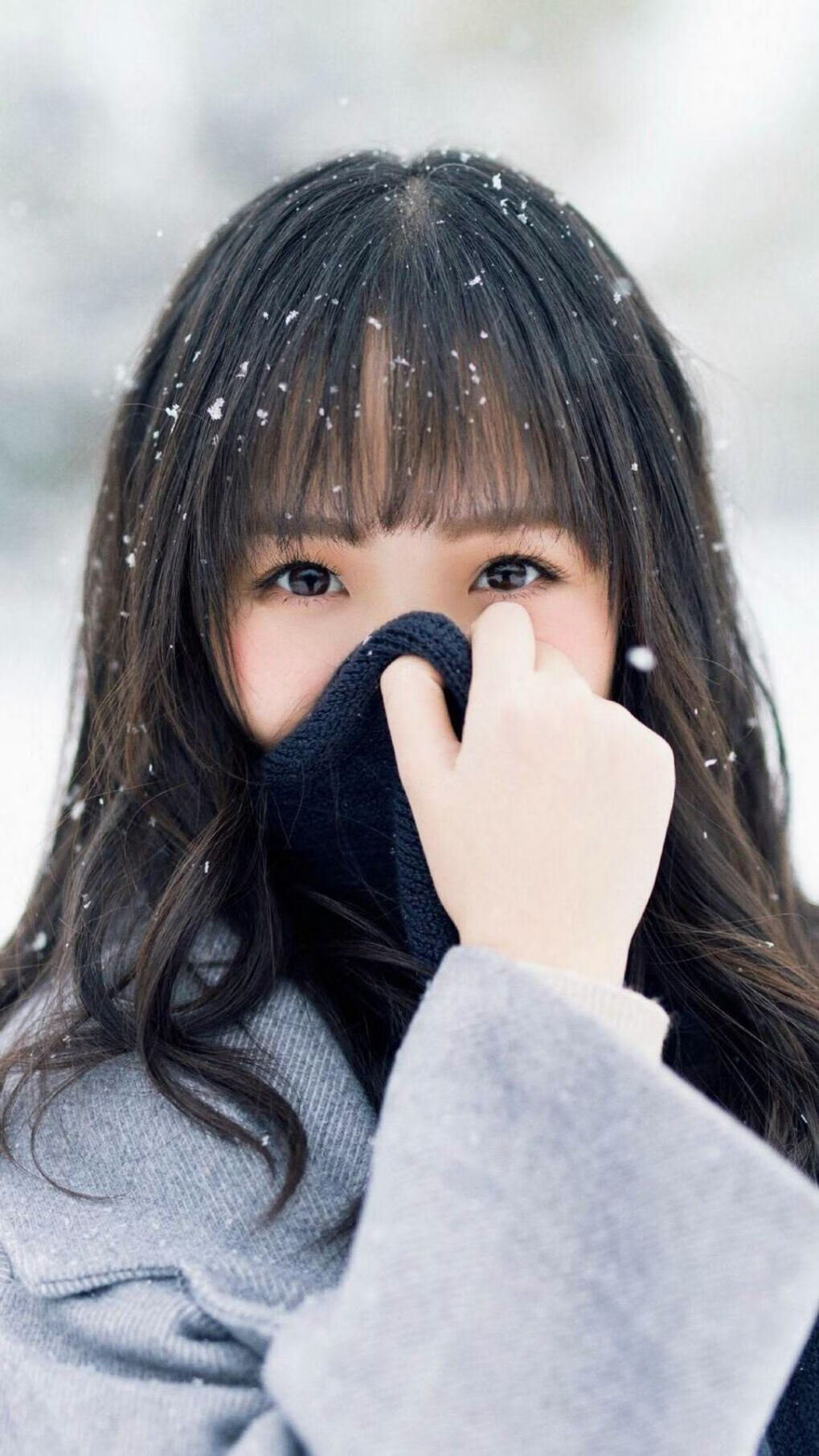 中国篮球的欧冠决赛，北京队如何将顶级战术与钢铁意志锻造成碾压深圳队的双刃剑？