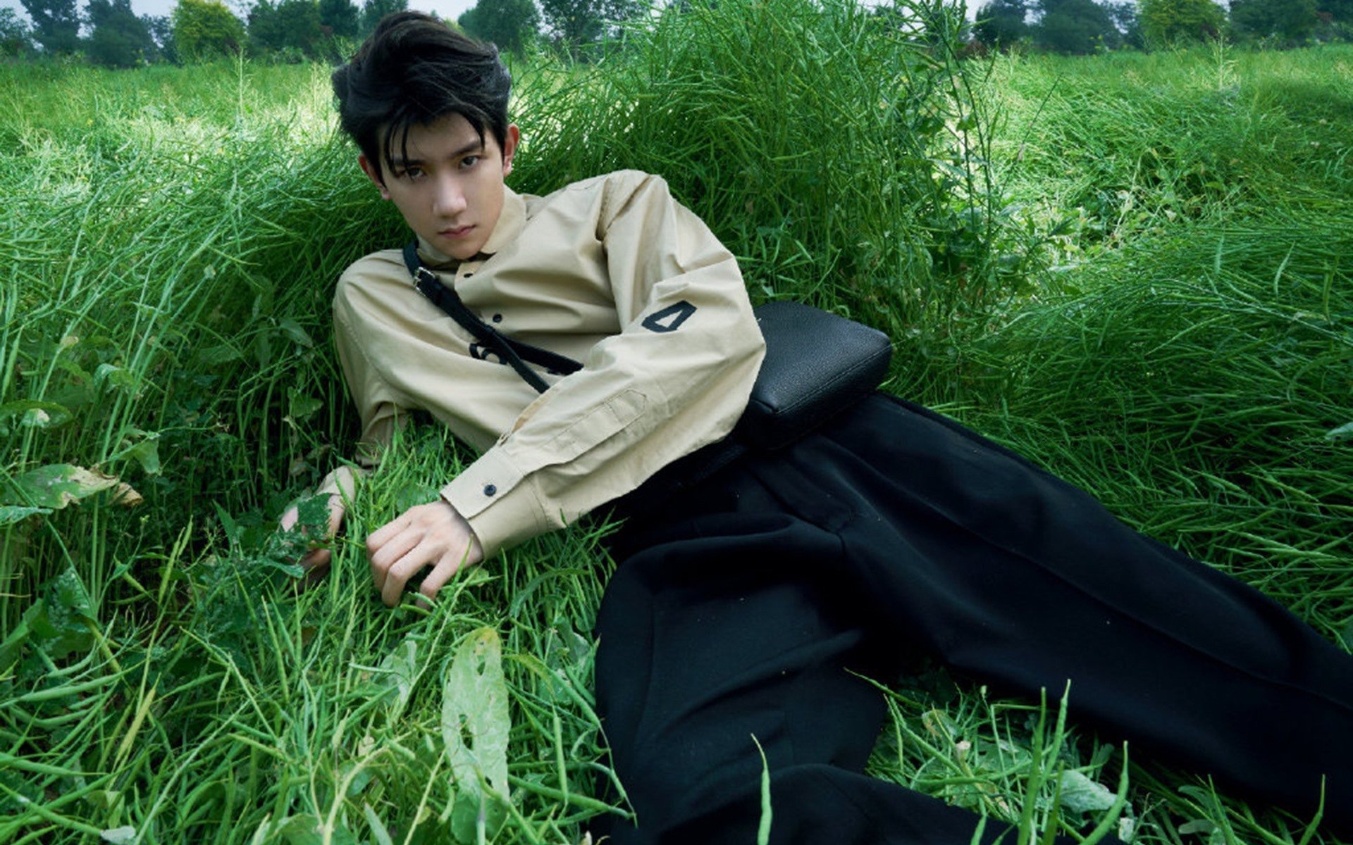 风暴眼中的定海神针，贝恩在森林狼撕裂灰熊防守的夜晚成为唯一清醒者