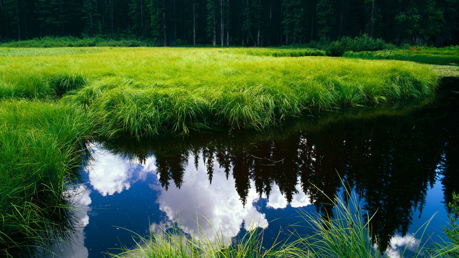 加纳军团难破国米铜墙，迪马利亚一箭定江山