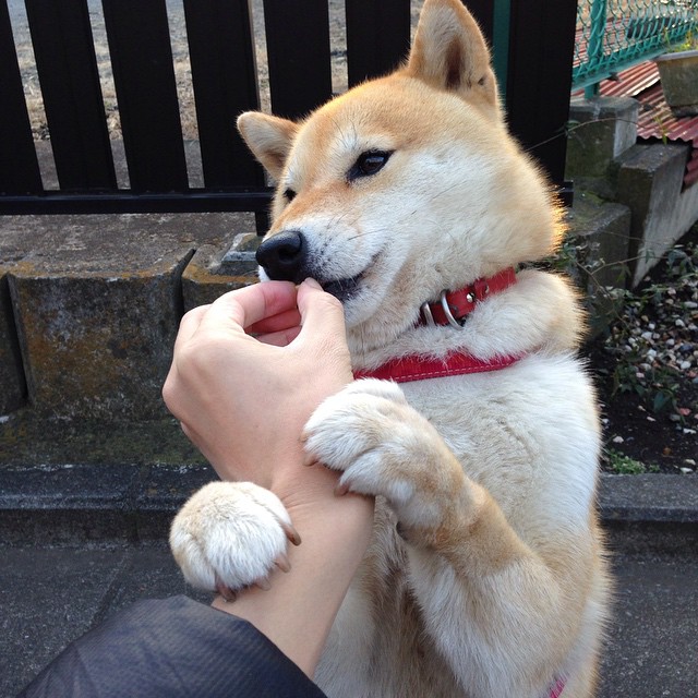开云体育入口-最后三分钟的宿命对决，葡萄牙绝境逆转丹麦，欧冠史上最戏剧性焦点战诞生
