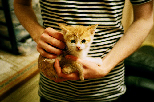 恩佐一锤定音，那不勒斯友谊赛狂胜新西兰！大场面先生再度闪耀