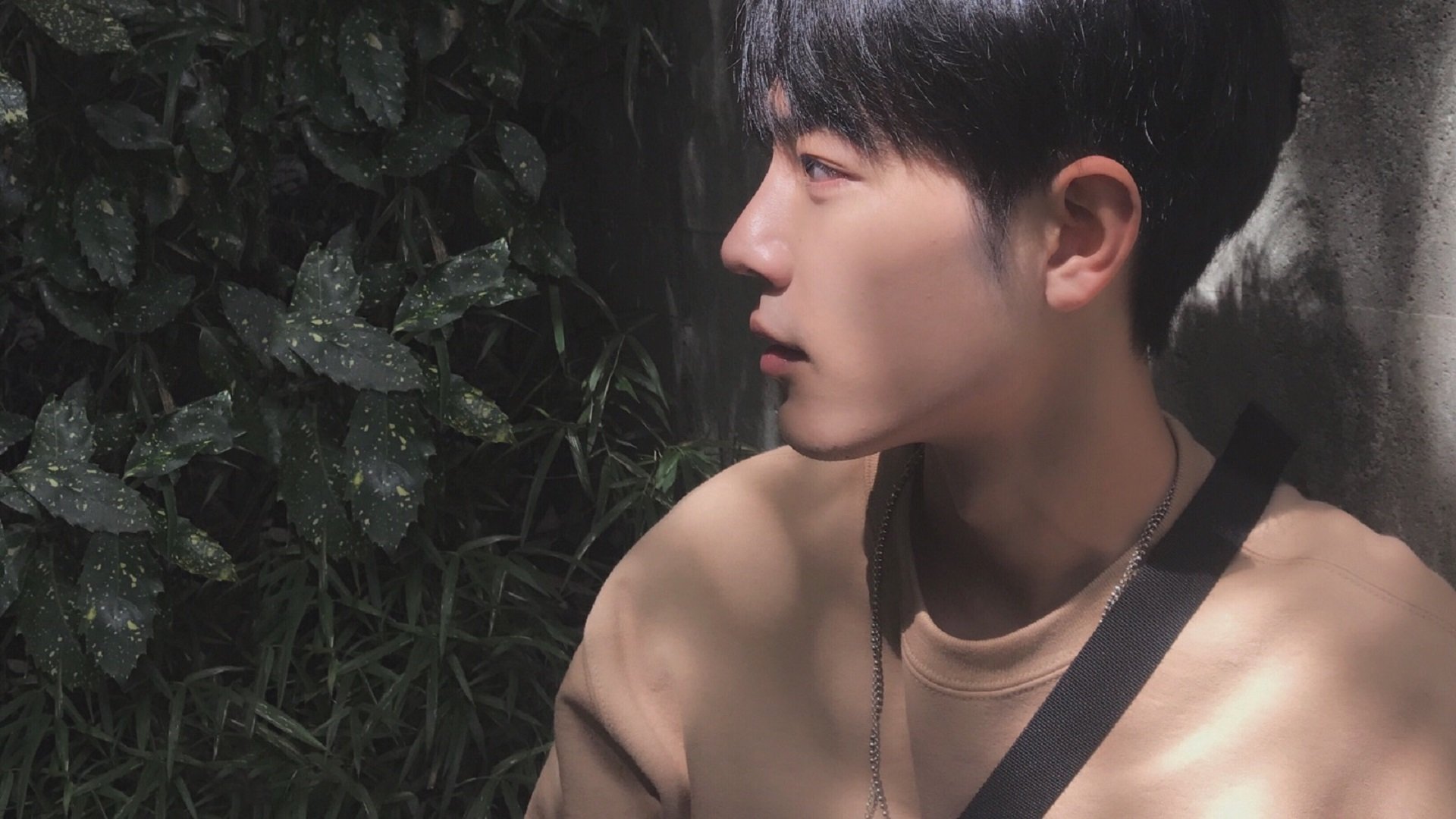 范弗利特的三记楔子，当时间齿轮被卡死在休斯敦夜晚