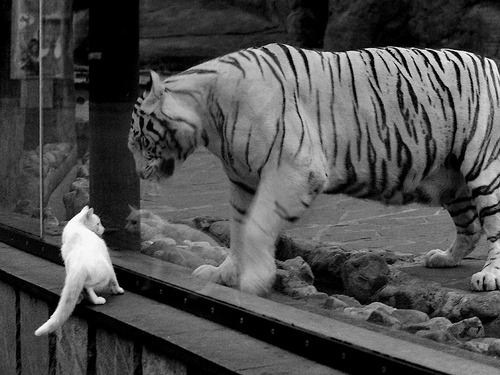 王者诞生于屠龙之夜，曼城补时逆转毕尔巴鄂，奥亚尔萨瓦尔神兵天降