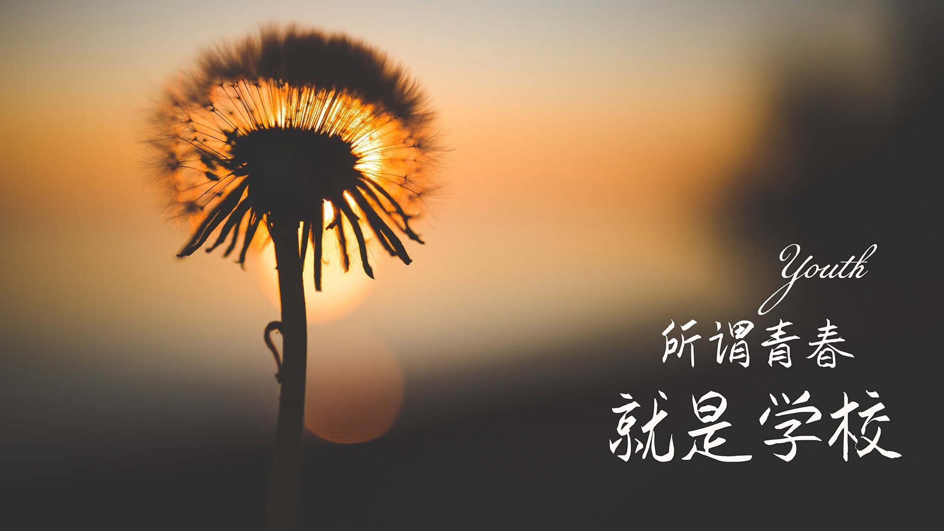 东京的雨，淋湿了里斯本，一场关于宿敌与叛徒的D组史诗